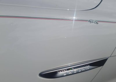 14589955 1206284559434831 5154252776487107021 o 400x284 - Pinstriping